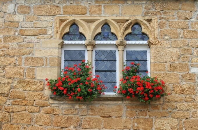 Bloemen Dordogne - Pôle international de la prehistoire