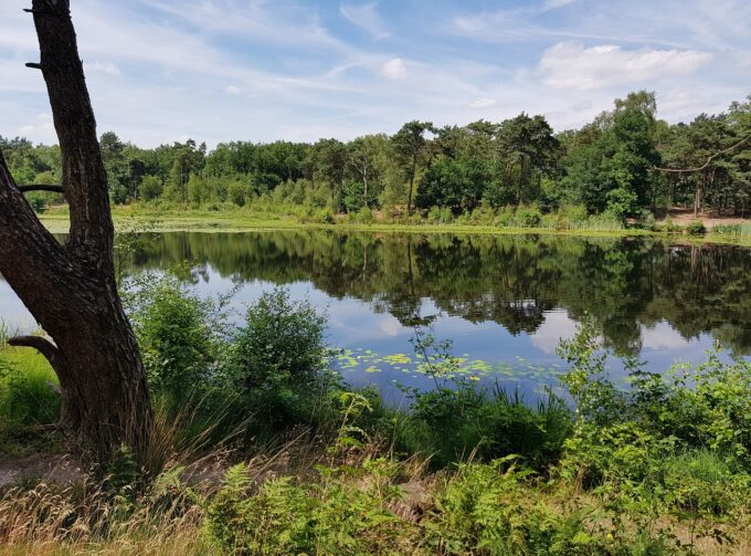 camping natuur