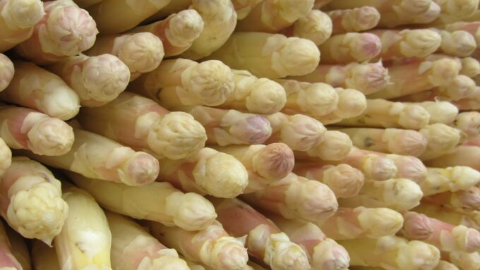 Asperges - opreis