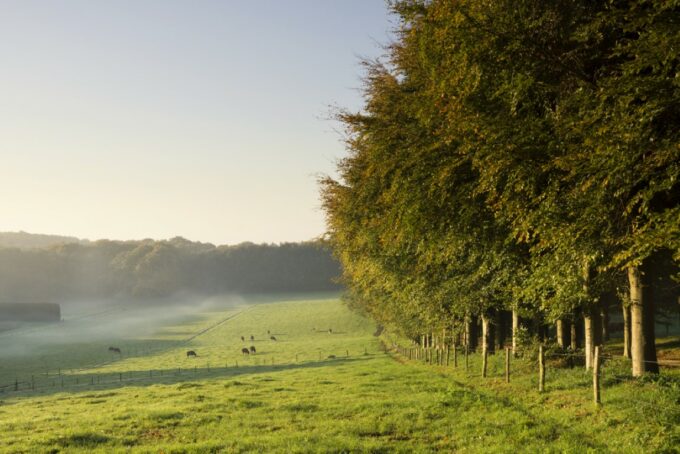 opreis - luxe vakantieparken Nederland